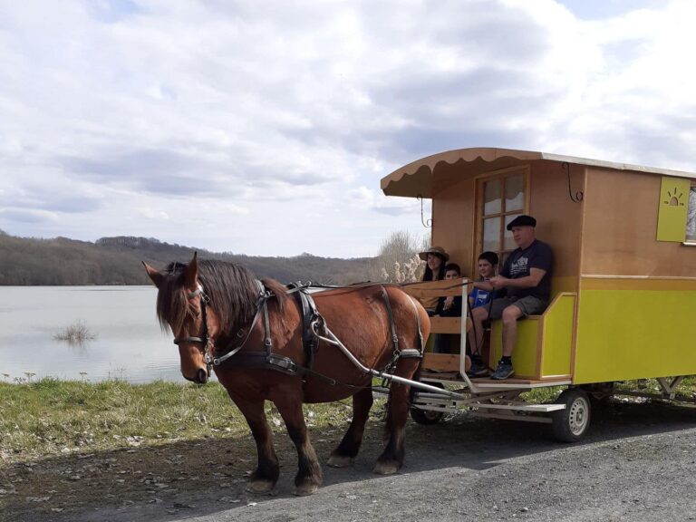 roulotte-a-cheval-Bassillon-Vauze-roulotte-hippomobile-Ferme-Beth-loc