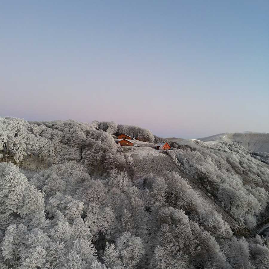 Chalets d'Iraty et forêt de hêtres sous la neige